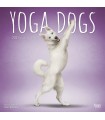 Yoga des chiens 2021