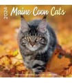 Maine Coon 2024