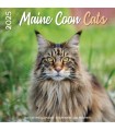 Maine Coon 2025