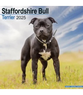 Staffordshire bull terrier 2025